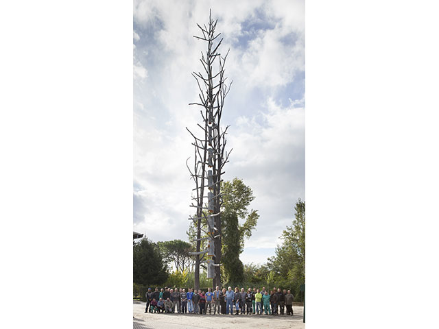 Sorgente di luce, Opera del Maestro Giuseppe Penone