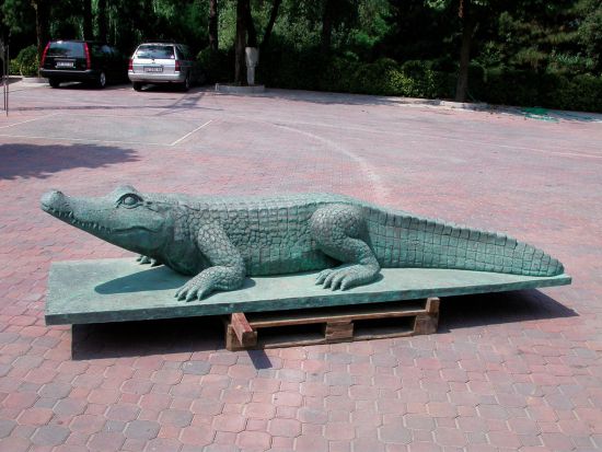 Crocodile